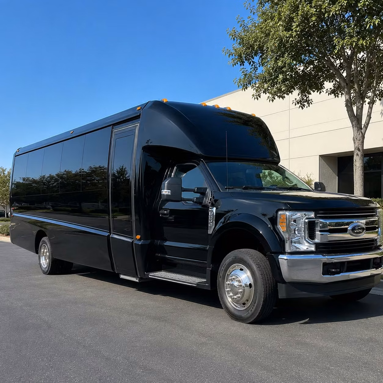 surprise 20 passenger minibus rental