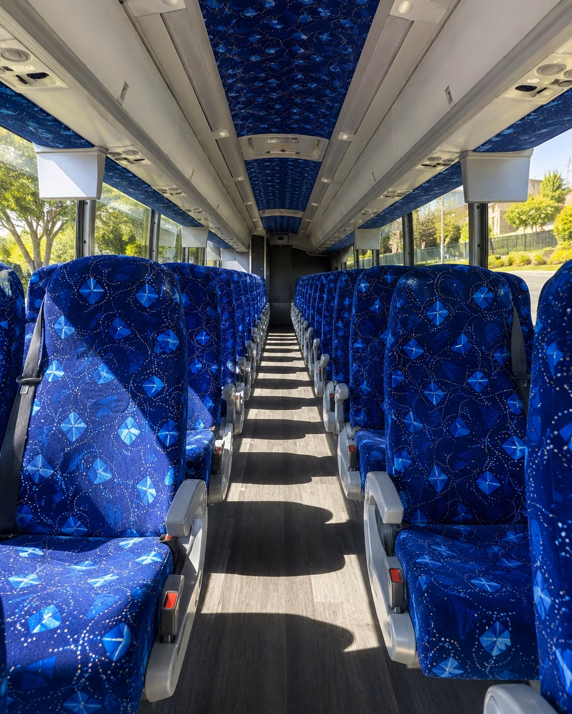 surprise long distance transportation