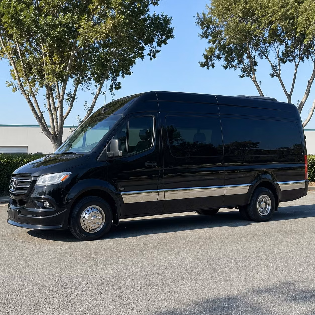 surprise sprinter van rental with driver