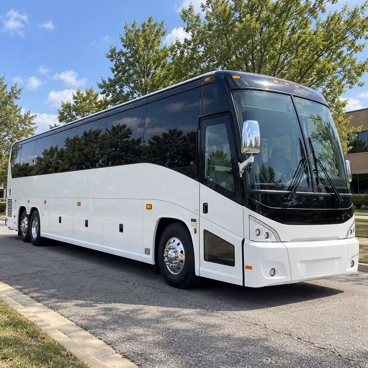wildlife world zoo and other west valley destinations are easy with surprisecharterbus com